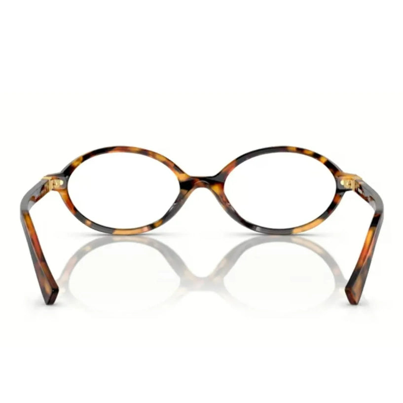 The Glasses Oval Tortoiseshell  - Transparent